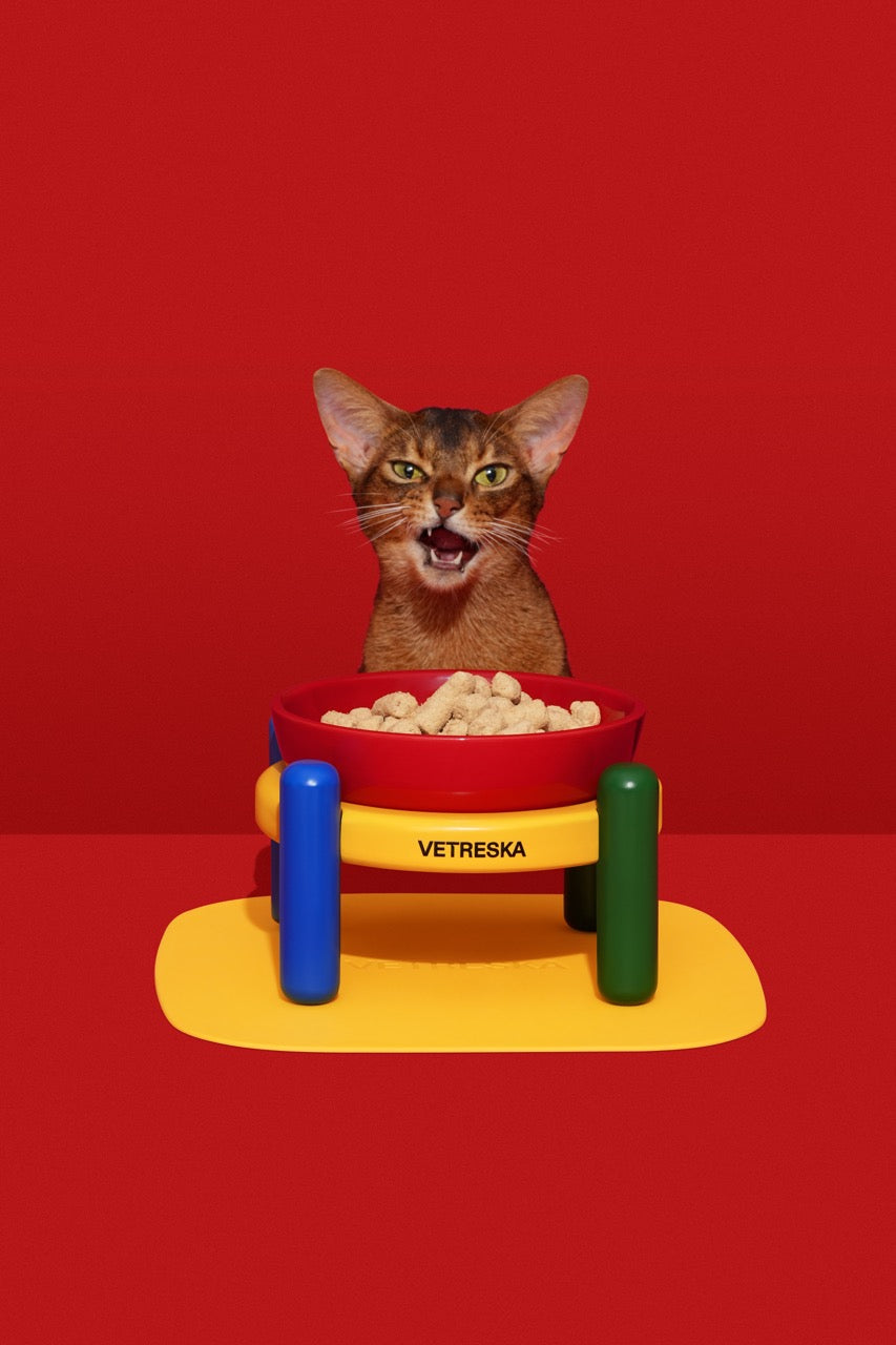 VETRESKA  Chroma Ceramic Pet Bowl & Mat Set