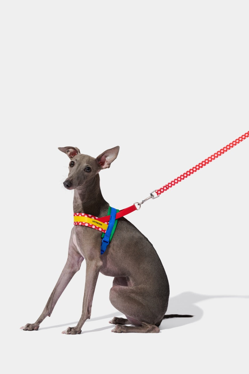 VETRESKA  Chroma Pet Harness & Leash Set-Red