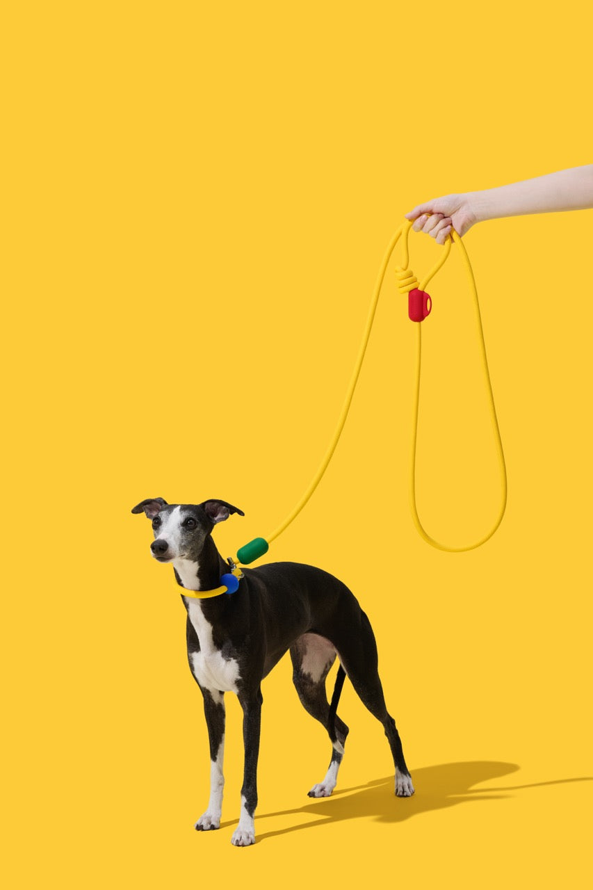 VETRESKA Connect Hands-Free Rope Leash for Pets (Chroma)