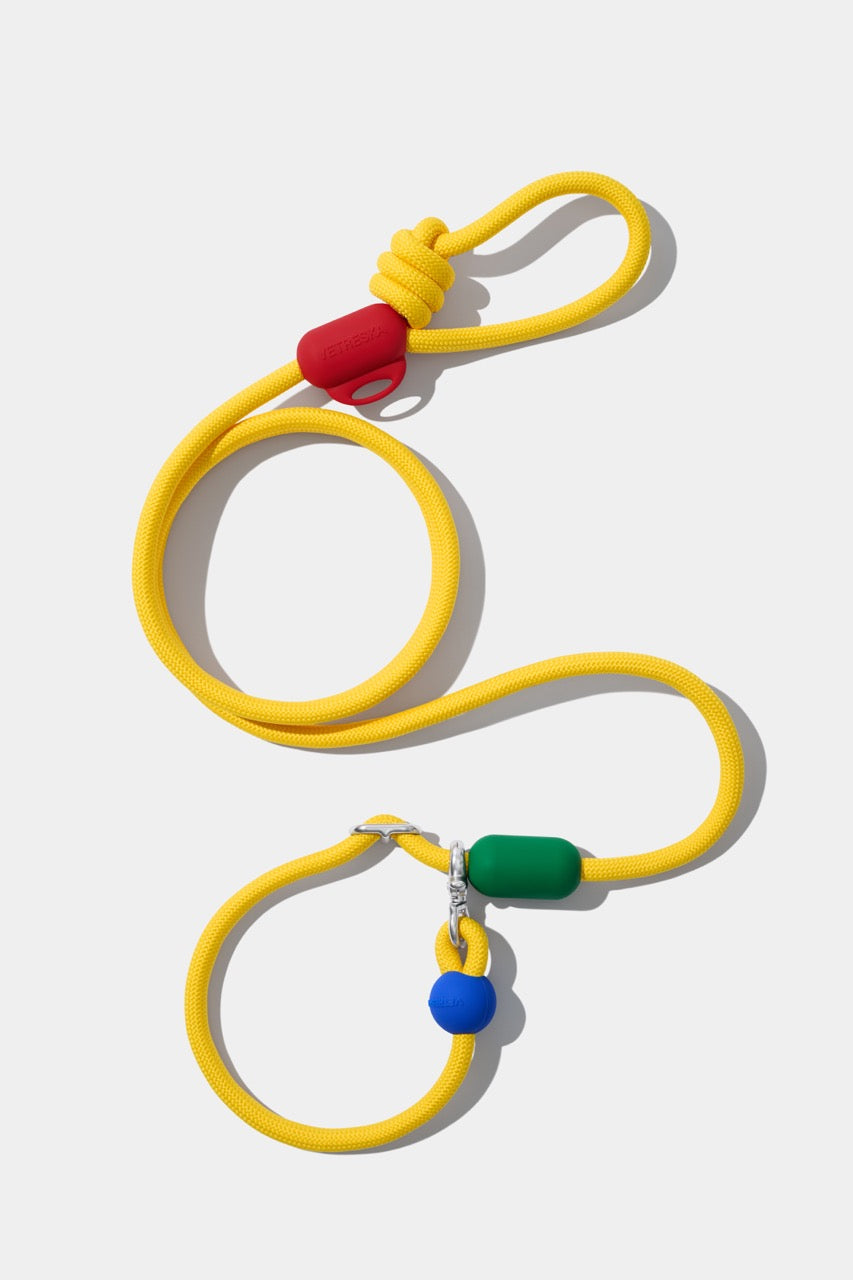 VETRESKA Connect Hands-Free Rope Leash for Pets (Chroma)