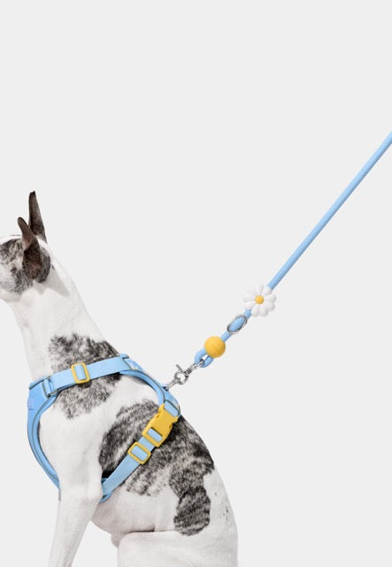 VETRESKA Connect Hands-Free Rope Leash for Pets (Daisy)