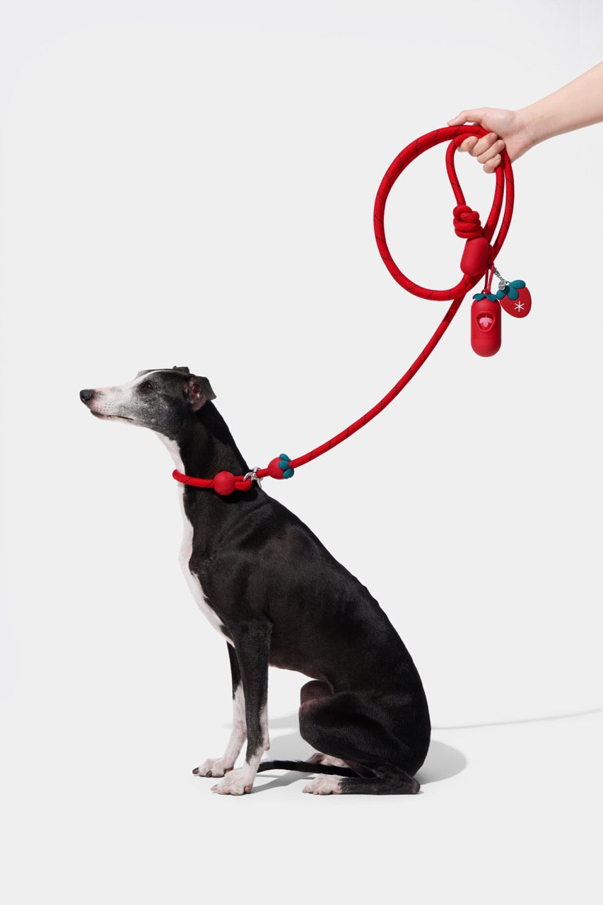 VETRESKA Connect Hands-Free Rope Leash for Pets (Strawberry)