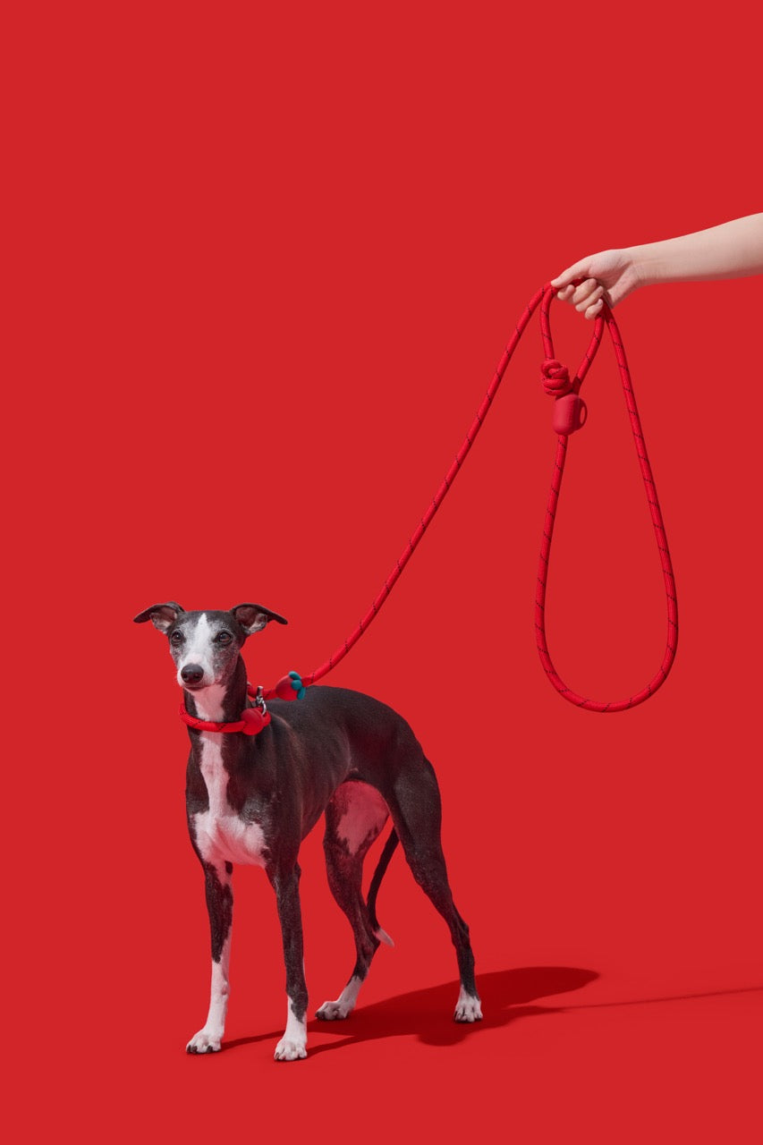 VETRESKA Connect Hands-Free Rope Leash for Pets (Strawberry)