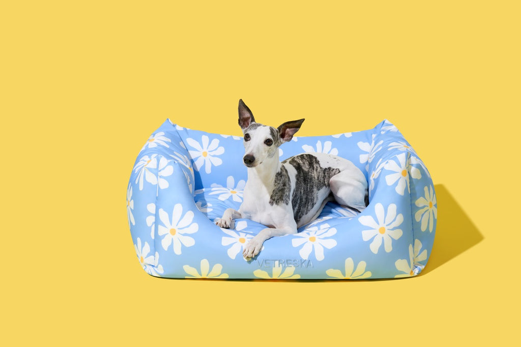 VETRESKA Daisy Pet Sofa