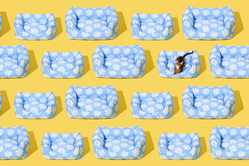 VETRESKA Daisy Pet Sofa