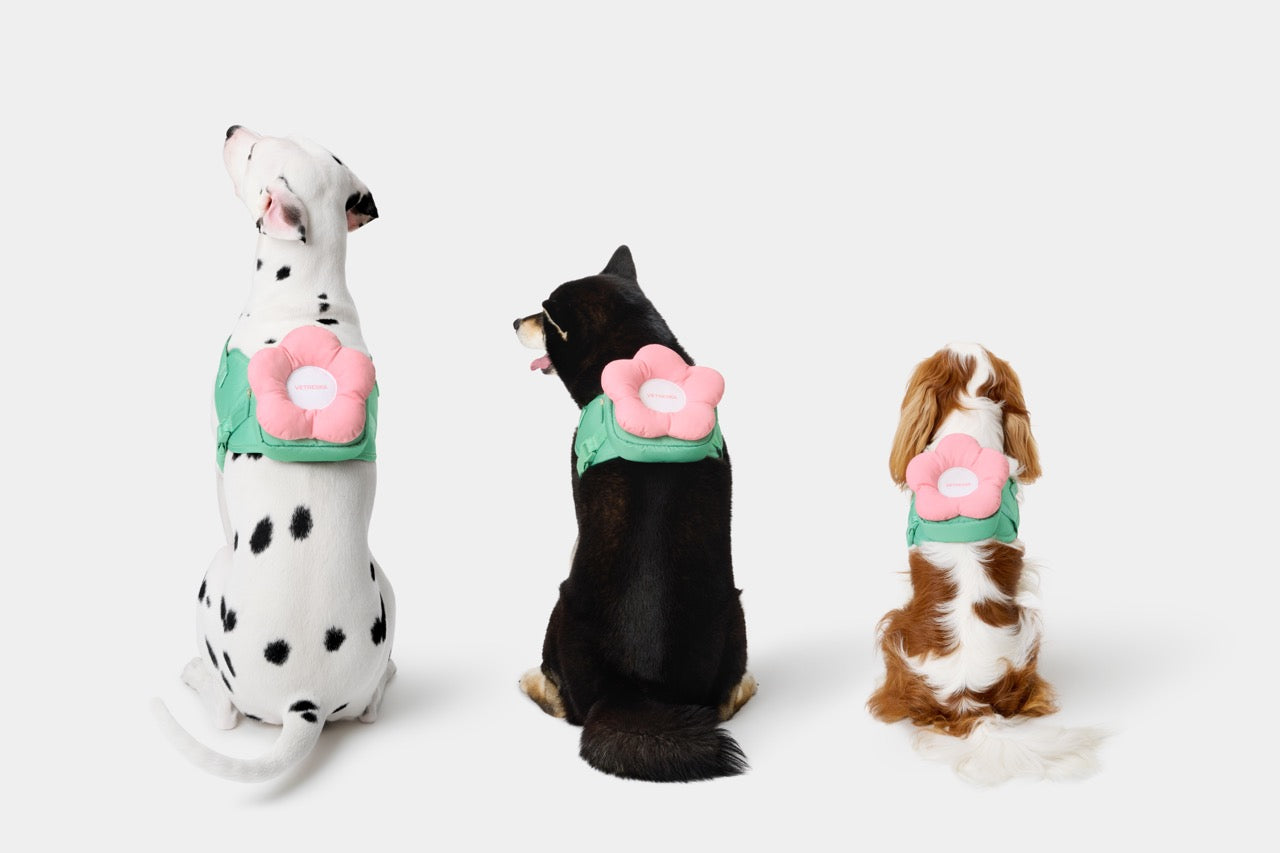 VETRESKA Flora Pet Backpack & Harness 3 in 1 Set