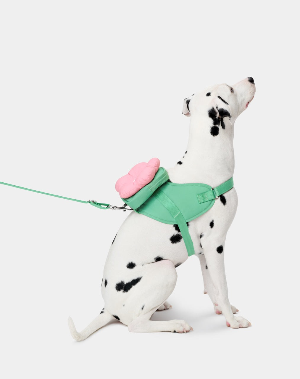 VETRESKA Flora Pet Backpack & Harness 3 in 1 Set