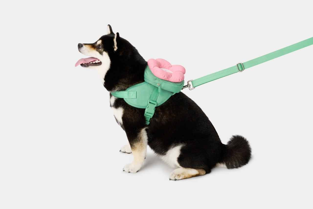VETRESKA Flora Pet Backpack & Harness 3 in 1 Set