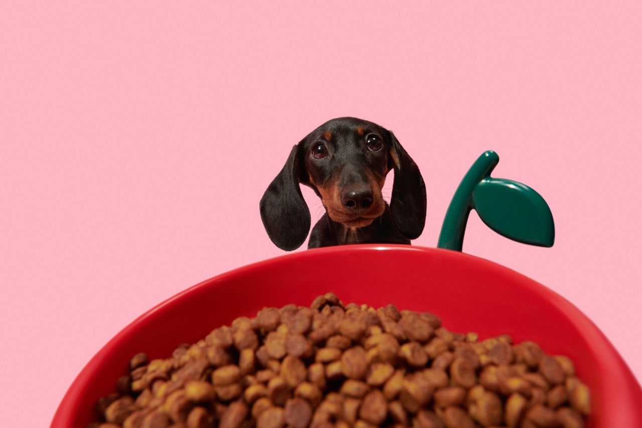 VETRESKA  Juicy Cherry Pet Bowl, Spoon & Mat Set