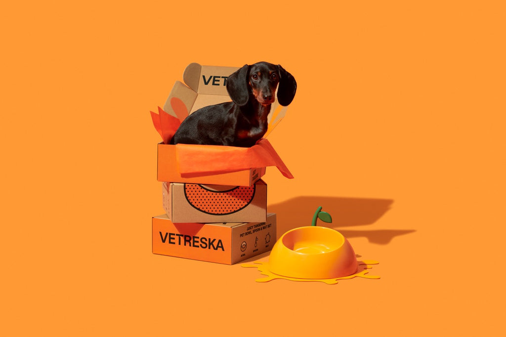 VETRESKA  Juicy Tangerine Pet Bowl, Spoon & Mat Set