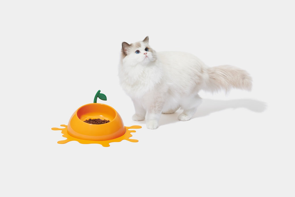 VETRESKA  Juicy Tangerine Pet Bowl, Spoon & Mat Set