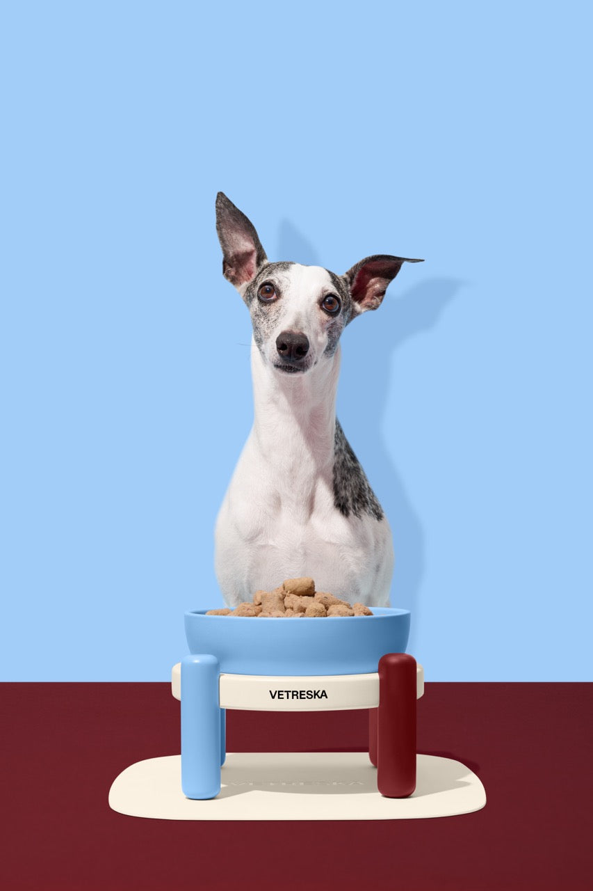 VETRESKA  Mist and Merlot Ceramic Pet Bowl & Mat Set