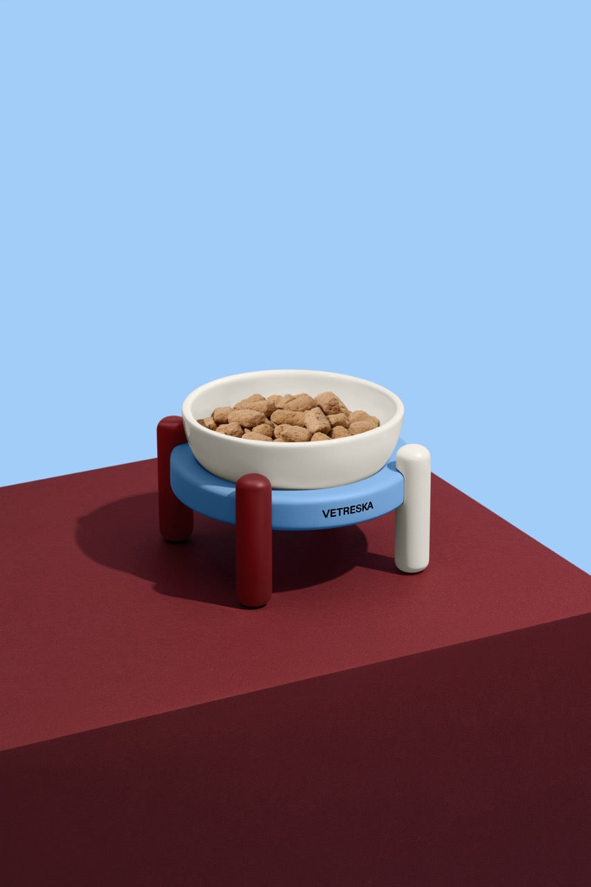 VETRESKA  Mist and Merlot Ceramic Pet Bowl & Mat Set