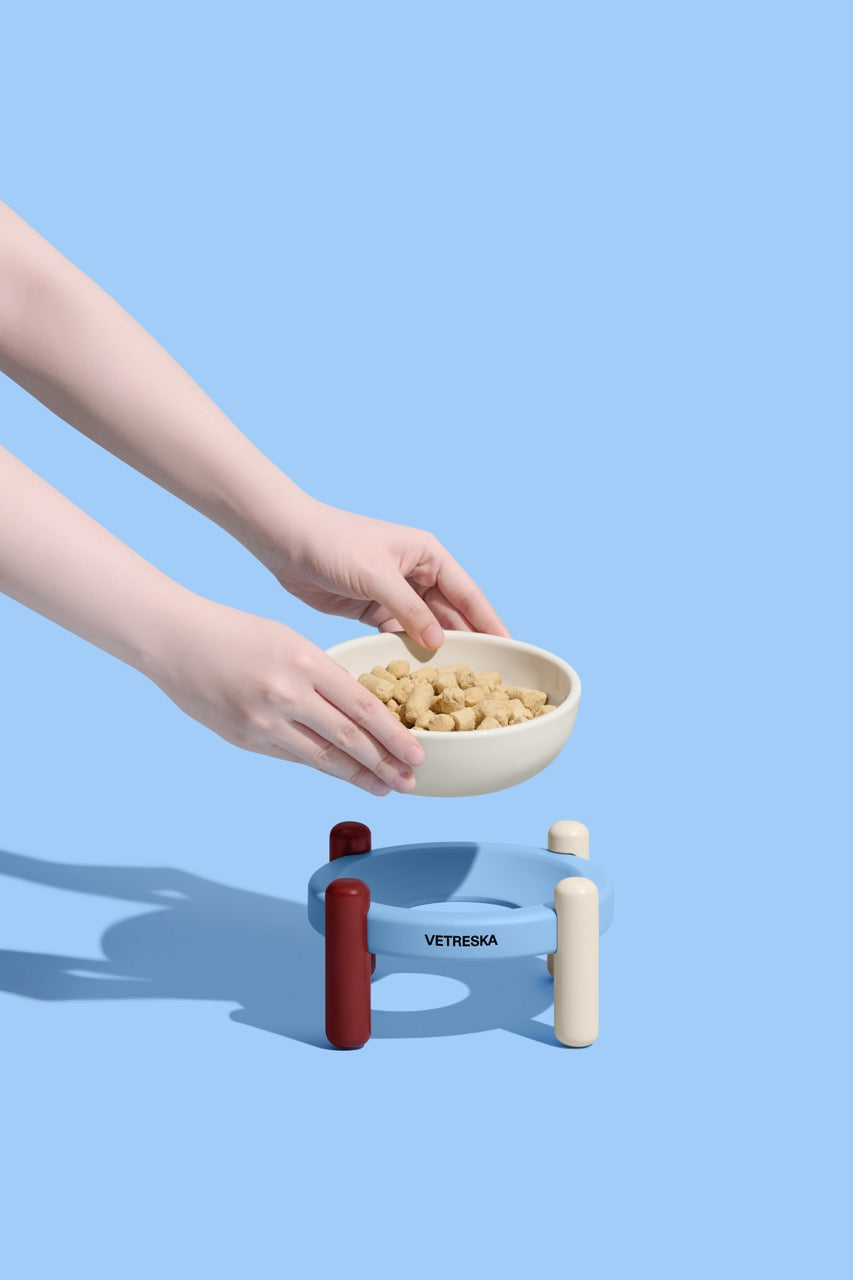 VETRESKA  Mist and Merlot Ceramic Pet Bowl & Mat Set