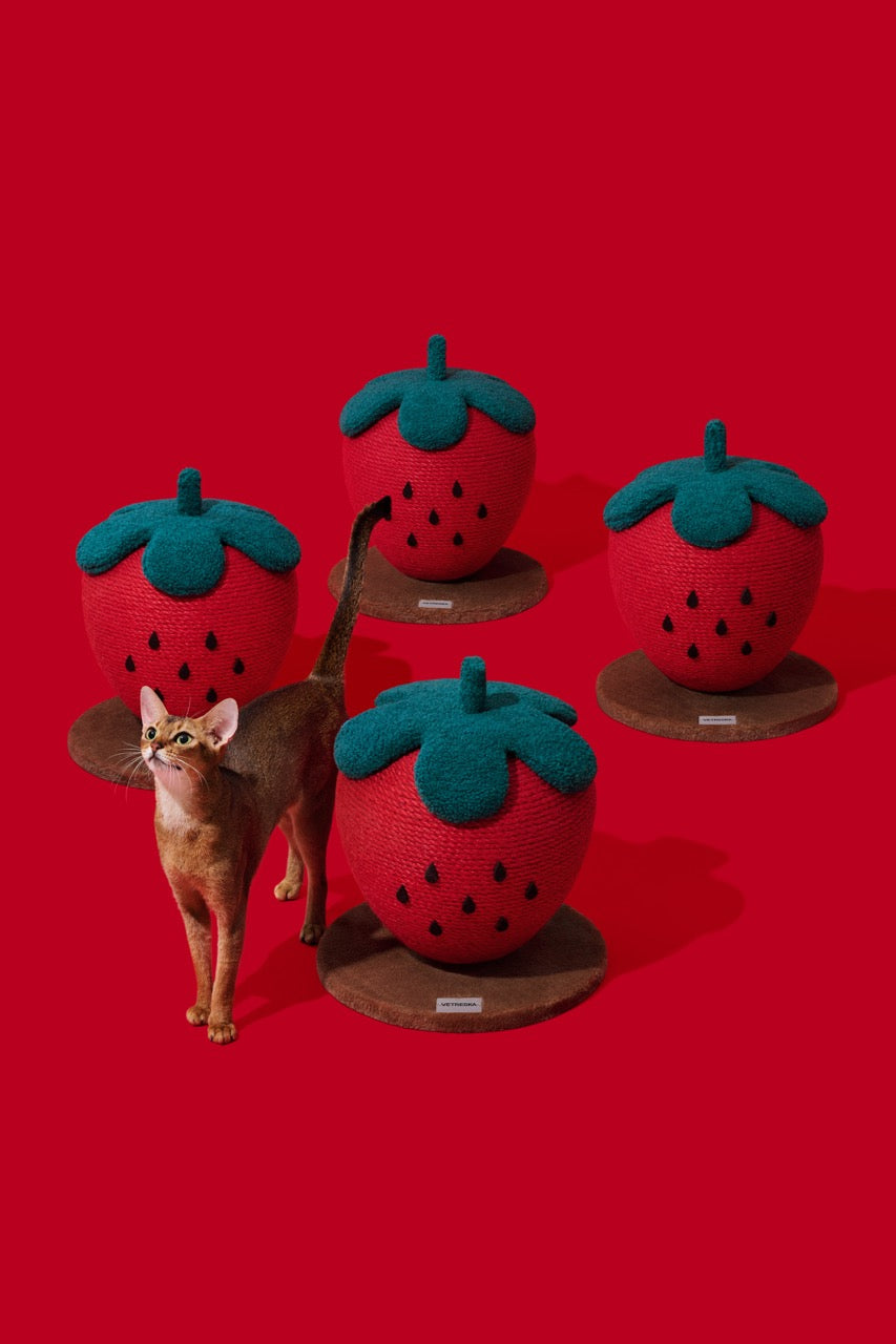 VETRESKA  Strawberry Cat Scratching Ball