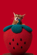 VETRESKA  Strawberry Cat Scratching Ball