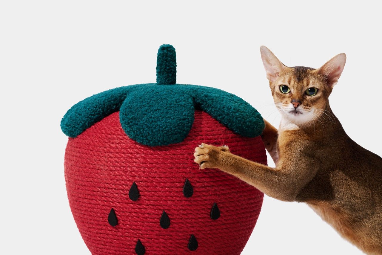 VETRESKA  Strawberry Cat Scratching Ball