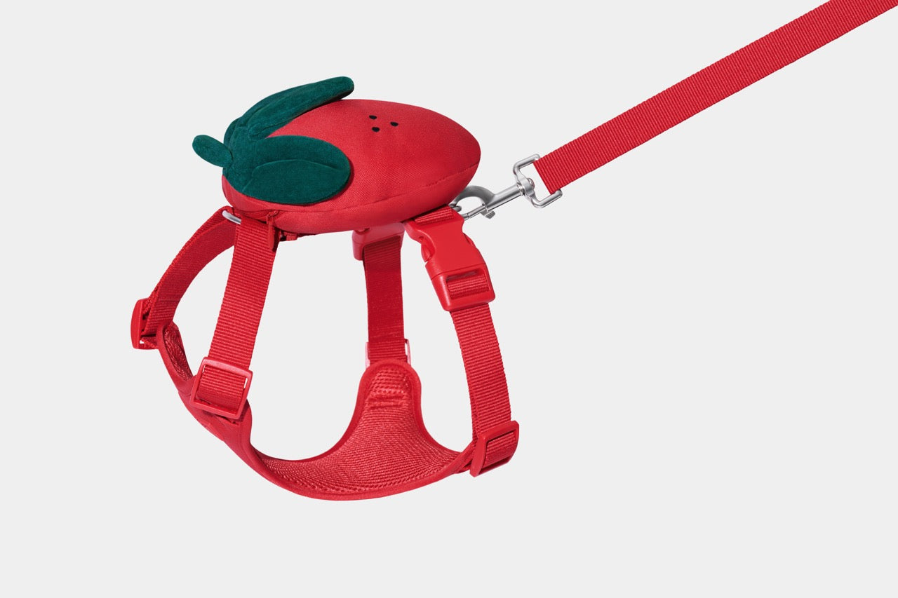 VETRESKA  Strawberry Pet Backpack, Harness & Leash Set