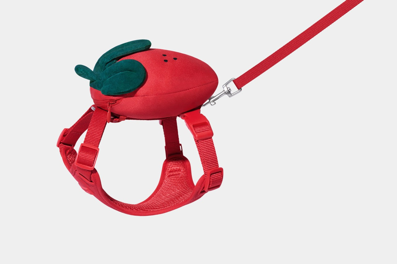 VETRESKA  Strawberry Pet Backpack, Harness & Leash Set