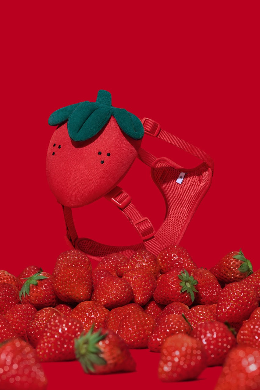 VETRESKA  Strawberry Pet Backpack, Harness & Leash Set
