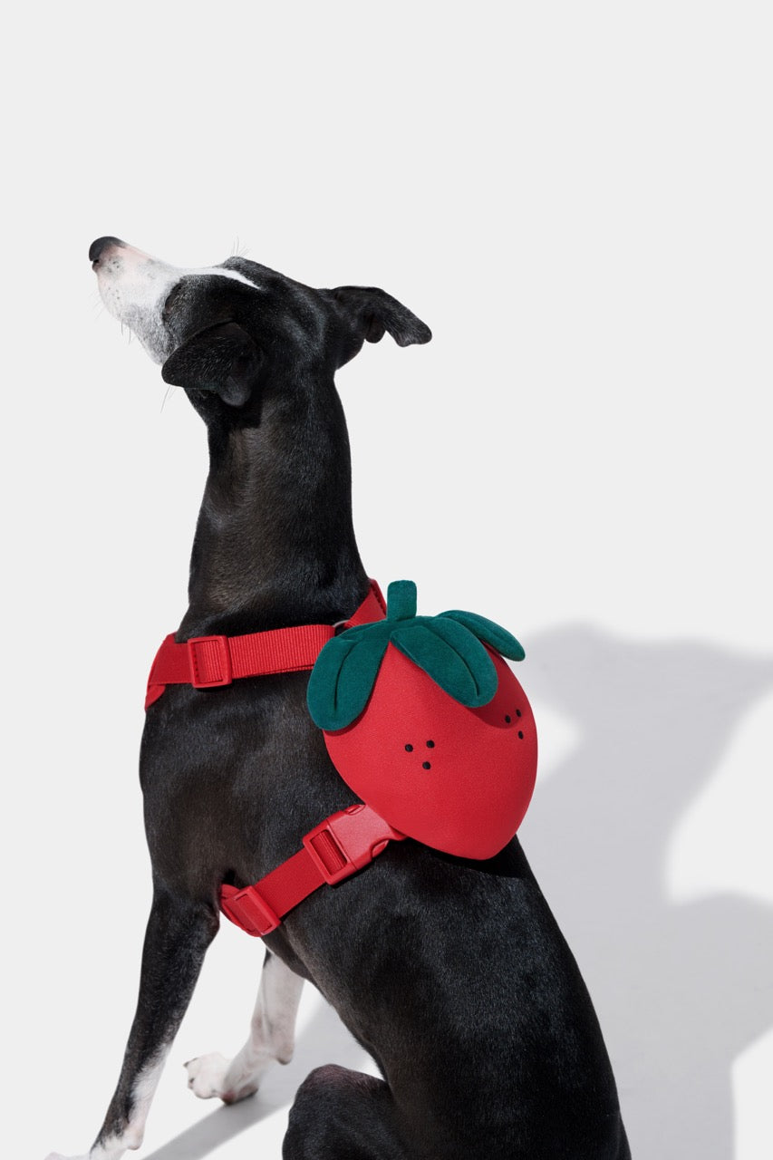 VETRESKA  Strawberry Pet Backpack, Harness & Leash Set