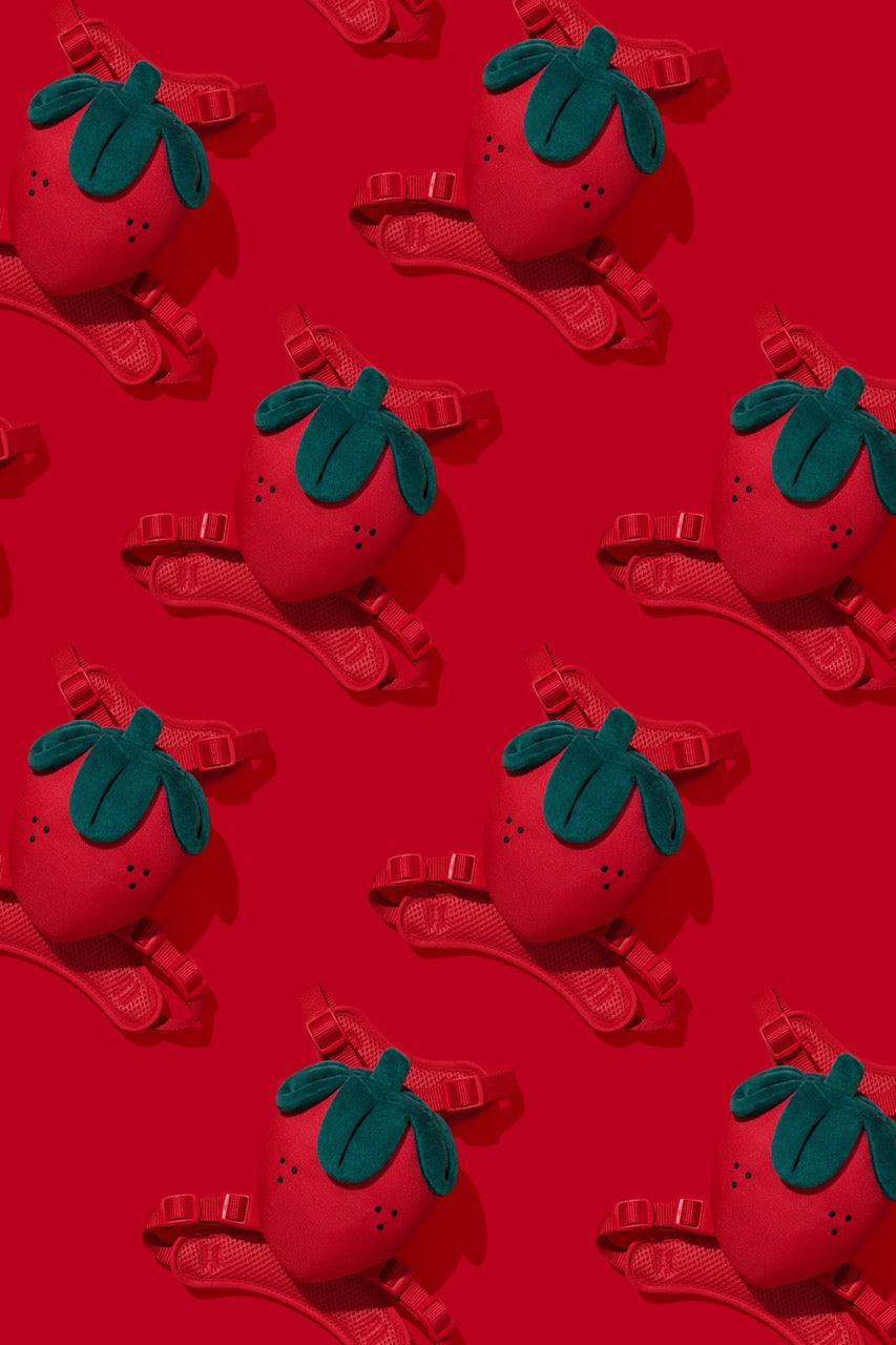 VETRESKA  Strawberry Pet Backpack, Harness & Leash Set