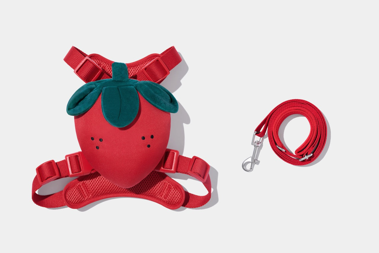 VETRESKA  Strawberry Pet Backpack, Harness & Leash Set