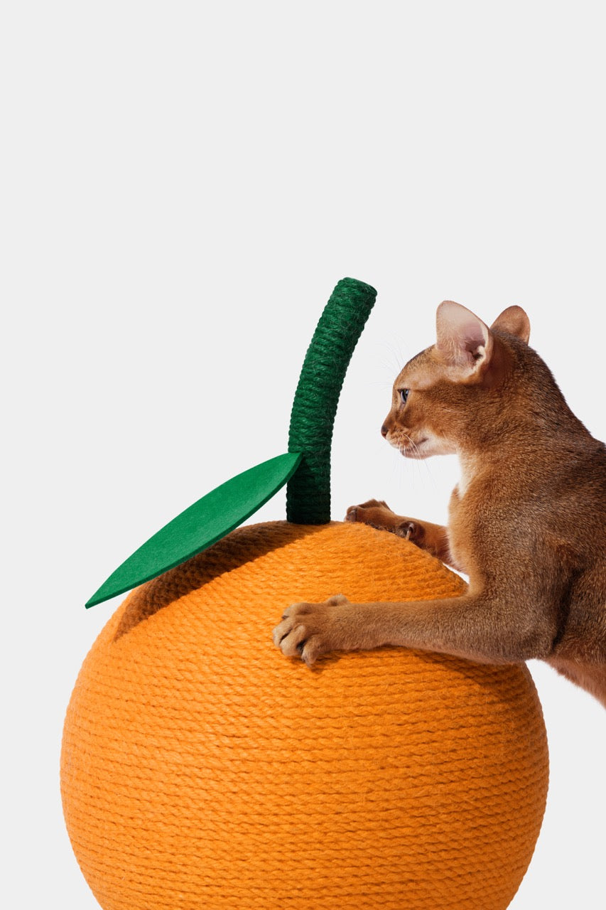 VETRESKA Tangerine Cat Scratching Ball