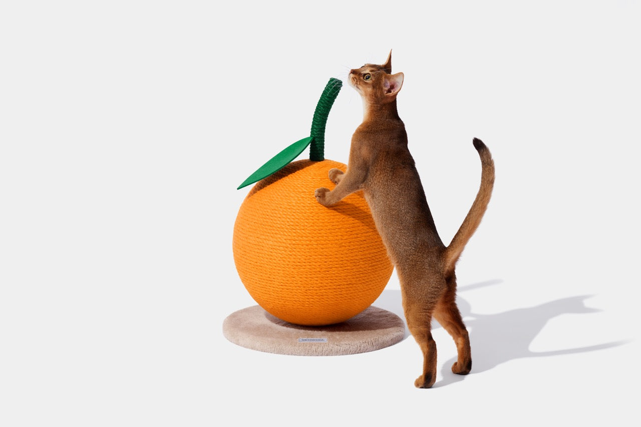 VETRESKA Tangerine Cat Scratching Ball