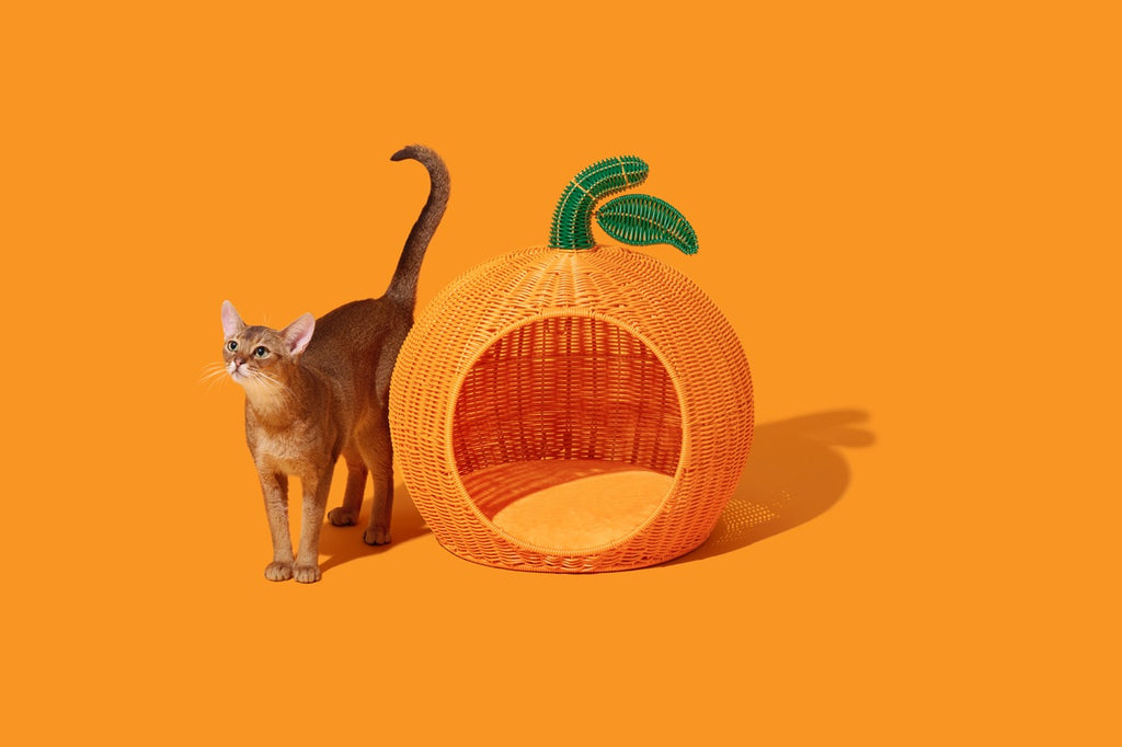 VETRESKA   Tangerine Rattan Pet Bed