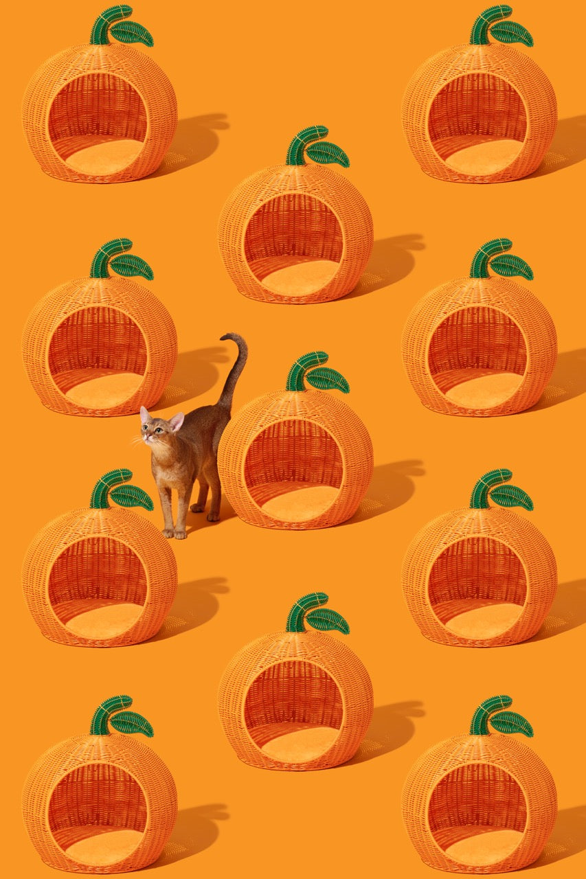 VETRESKA   Tangerine Rattan Pet Bed