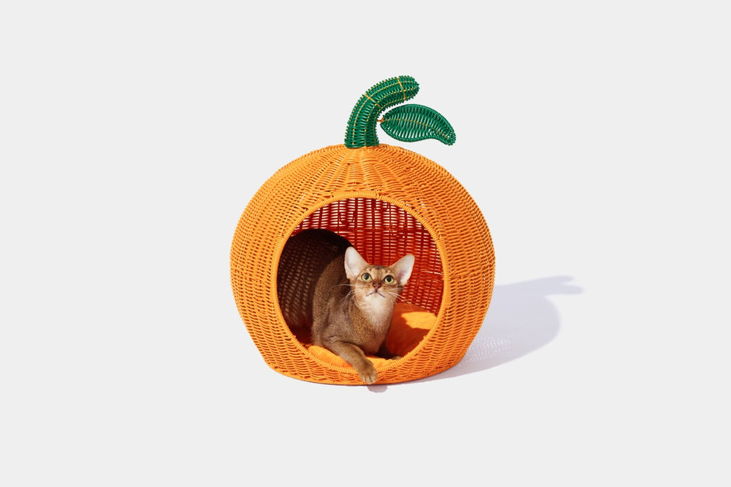 VETRESKA   Tangerine Rattan Pet Bed