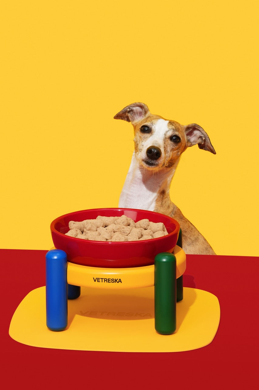 VETRESKA  Chroma Ceramic Pet Bowl & Mat Set