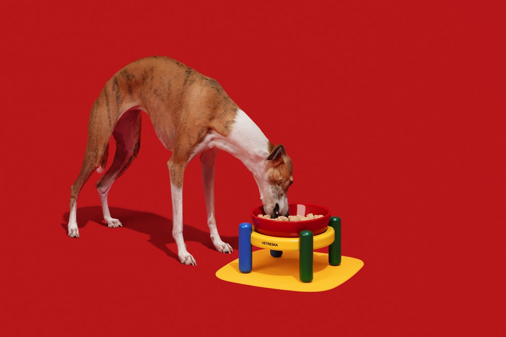 VETRESKA  Chroma Ceramic Pet Bowl & Mat Set