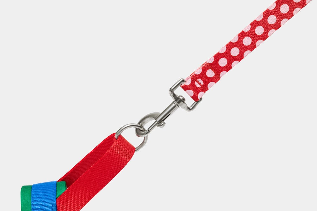 VETRESKA  Chroma Pet Harness & Leash Set-Red