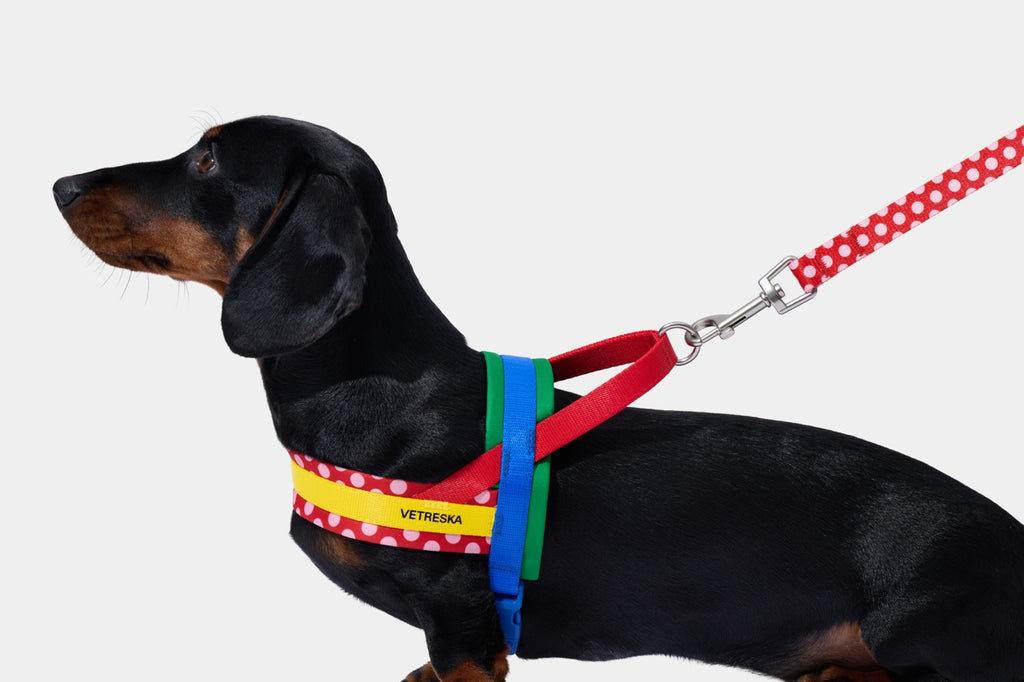 VETRESKA  Chroma Pet Harness & Leash Set-Red