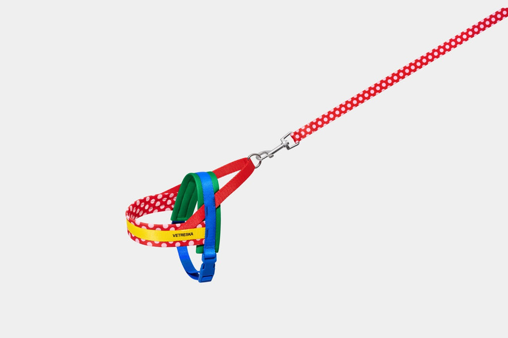 VETRESKA  Chroma Pet Harness & Leash Set-Red