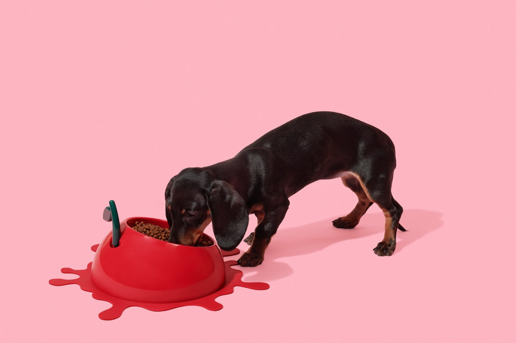 VETRESKA  Juicy Cherry Pet Bowl, Spoon & Mat Set