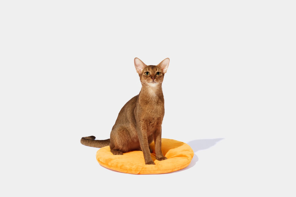 VETRESKA   Tangerine Rattan Pet Bed
